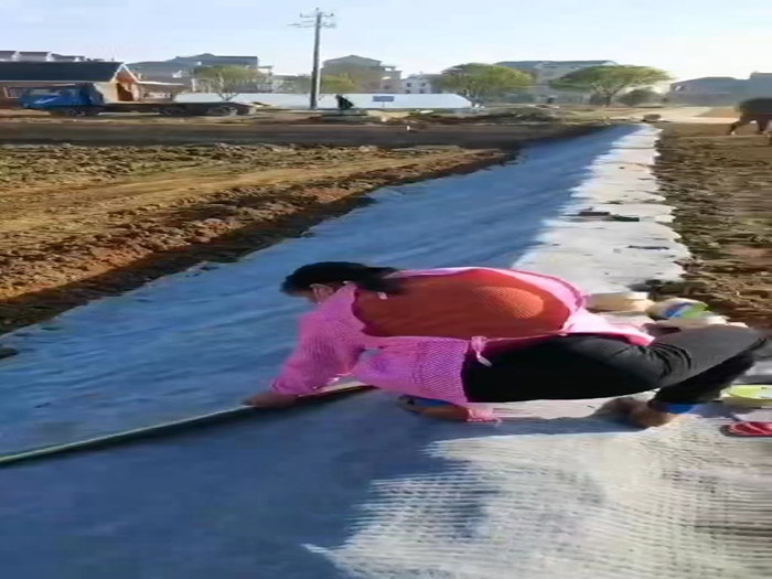 水泥毯技術優勢及后期保養維護